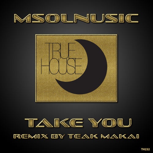 Msolnusic - Take You [TRUEHOUSE232]